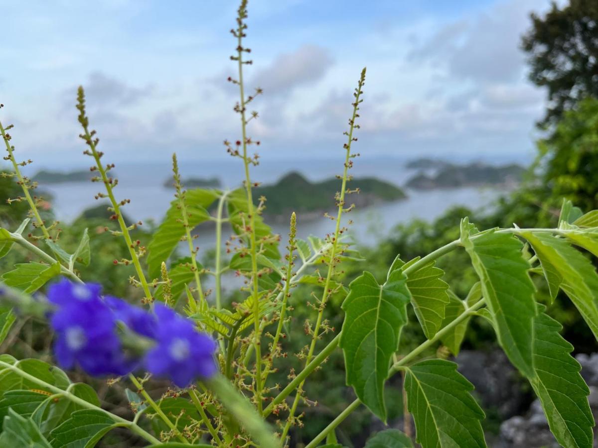 Cat Ba Rosalia Hotel Dong Khe Sau Eksteriør bilde